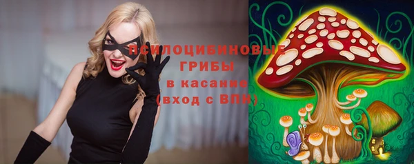 а пвп мука Инсар