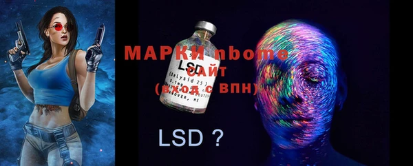 амф Инта