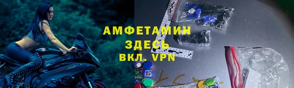 амф Инта