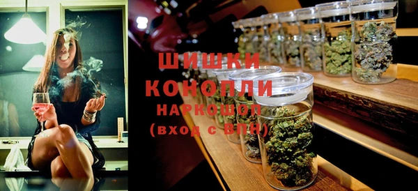 амф Инта