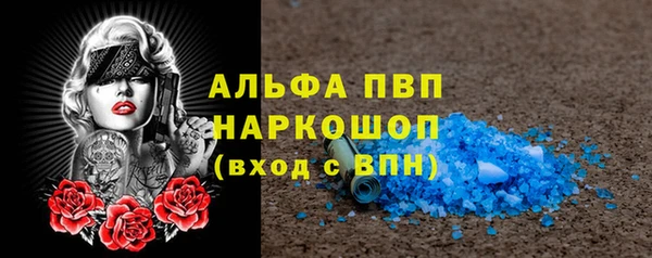 амф Инта
