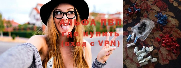 амф Инта